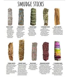 Picture of 6x Sage Smudge Stick Bundle Kit + Palo Santo Sage Cleansing Prayer, Types Of Sage, Smudging Prayer, Black Sage, Witch Herbs, Sage Smudging, White Sage Smudge, Sage Smudge, Witch Spirituality