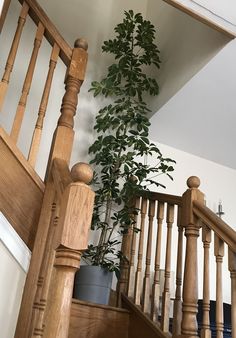 a wooden banister next to a potted plant on top of a stair case