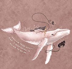 a drawing of a humpback whale with an octopus on its back and words above it