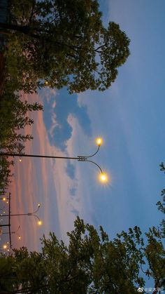 the street lights shine brightly in the evening sky above trees and bushes, as well as clouds