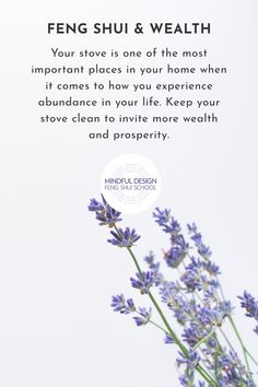 Bundle of lavender stems against white background Feng Shui Quotes, Feng Shui House Layout, Feng Shui For Beginners, Feng Shui Money, Spells That Actually Work, Feng Shui Colours, How To Feng Shui Your Home