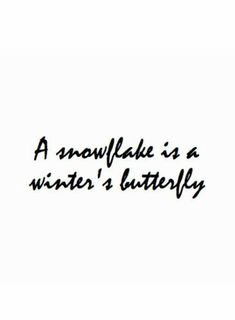 a snowflake is a winter's butterfly quote on a white background with black ink