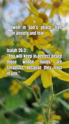 a bunch of yellow flowers with a bible verse written on the front and bottom right corner