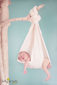 a baby sleeping in a hammock hanging from a tree branch with blue background