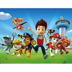 the paw patrol characters are flying through the air