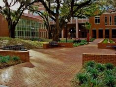 a brick courtyard with benches and trees in the background