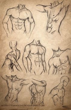 an old paper with some drawings of muscular men and women in different poses, including the torso