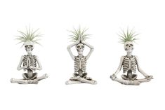 three skeletons are sitting in yoga position with plants on their heads and hands behind them