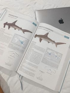 #marine #marinebiology #shark Marine Scientist Aesthetic, Evolutionary Biology Aesthetic, Marine Biology School, Aesthetic Marine Biology, Marine Bio Aesthetic, Virology Aesthetics, Marine Biology College, Researching Aesthetic