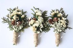 three bouquets of flowers and pine cones are arranged on a white background with twine