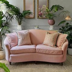 a pink couch sitting next to two potted plants