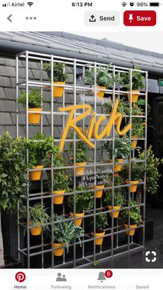 there are many potted plants on display in the building's metal grids