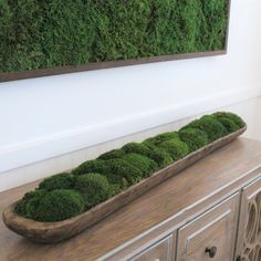 a moss covered planter sitting on top of a wooden dresser next to a wall