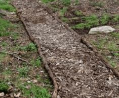 an old log laying in the middle of a field