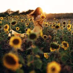 a woman in a field of sunflowers with her hair blowing in the wind