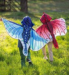 two children are walking in the grass with kites on their back and one is wearing a butterfly costume