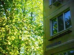 an apartment building with trees in the foreground and sunlight shining through the windows on the other side