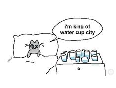 a cat laying in bed next to some cups and a speech bubble that says i'm king of water cup city