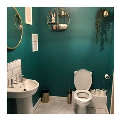 a white toilet sitting next to a sink in a bathroom under a mirror and hanging plants