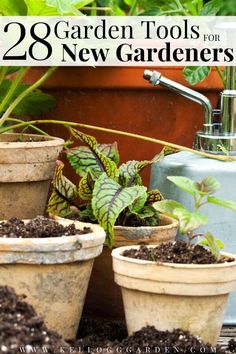 garden tools for new gardeners are in pots with dirt on the ground and plants growing out of them