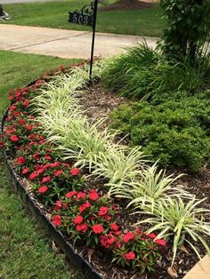 a flower bed with red flowers and green grass in the front yard next to a mailbox