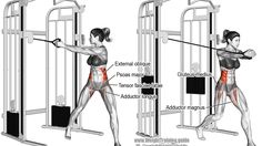 an image of a woman doing squats with the help of a pull up bar