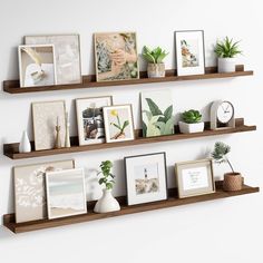 some shelves with pictures and plants on them