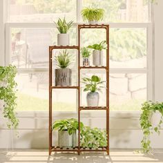 an assortment of potted plants in front of a window