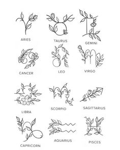 the twelve zodiac signs are shown in black and white, with flowers on each side