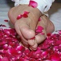 a baby's hand with pink petals on it