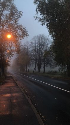 a foggy street at night with trees on both sides and an orange light in the middle