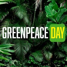 the words greenpeace day are surrounded by tropical plants and trees in front of them