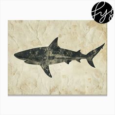 a black and white drawing of a shark on a piece of paper with the word sxs below it