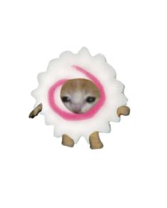 a small animal with a pink circle on it's head in front of a white background