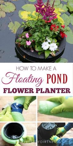 how to make a floating pond flower planter with flowers in the pot and hands