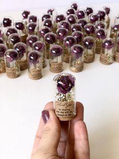 a hand holding a tiny bottle with purple flowers in it next to rows of small bottles