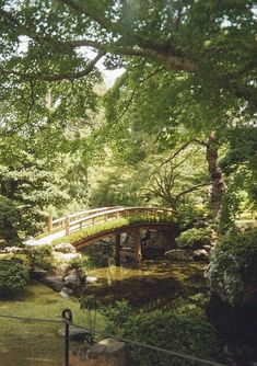 a wooden bridge over a small stream in a park