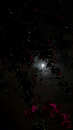 the moon shines brightly in the dark sky above some flowers and trees at night