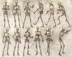 a bunch of sketches of skeletons in various poses