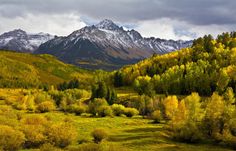 the mountains are covered in snow and trees with yellow leaves on them, as well as green grass