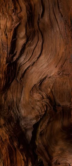 a bird sitting on top of a piece of wood that has been carved into it