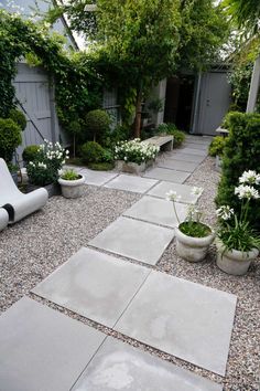 an outdoor garden with white flowers and plants