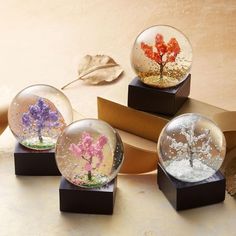 four snow globes with trees in them