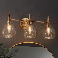 a bathroom light with three lights and a mirror on the wall above it, next to a potted plant