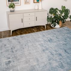 a living room area with a rug, potted plants and pictures on the wall