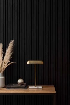 a table with a plant and a lamp on it in front of a black wall