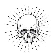 a human skull with sunbursts in the background stock photo and royalty illustration