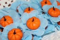 small orange pumpkins sitting on top of blue tissue paper in the shape of flowers