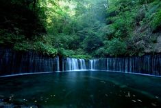 a waterfall in the middle of a forest filled with green trees and water flowing down it's sides