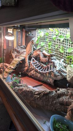 an animal skeleton in a display case with plants growing out of it's back